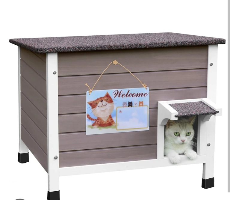 Refugios cálidos para los gatos callejeros este invierno