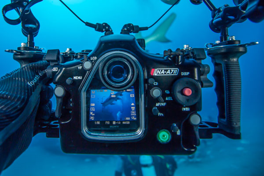 Help me buy my dream camera