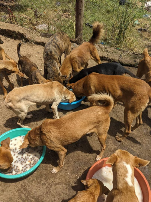 🆘 URGENT HELP NEEDED